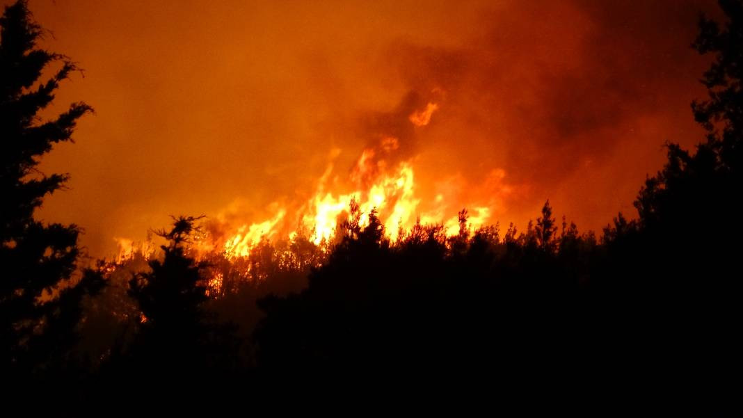 Çanakkale'deki Tarihi Alan'ın güney hattı ziyarete açıldı! Orman yangınında kapatılmıştı - Resim: 47